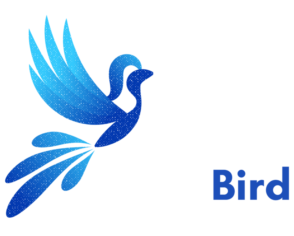 Style Bird